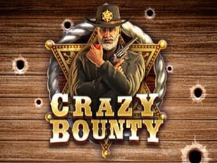 Crazy Bounty icon
